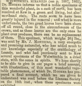 Gardener's Chronicle 20th DEc 1862