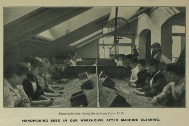 from the 1901 catalogue