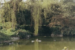 the lake when it had waer in it! https://rocks4me.files.wordpress.com/2013/01/5-1-21-05-westonbirt-waterfall-2.jpg