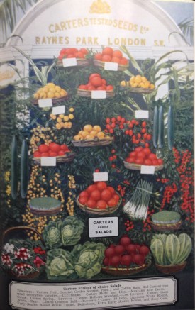 from the 1937 Blue Book