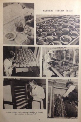 from the 1937 Blue Book