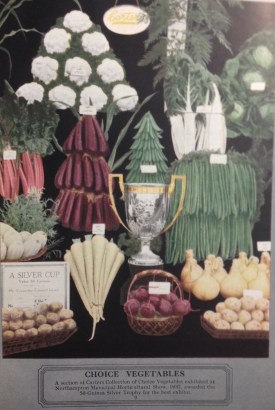 from the 1937 catalaogue