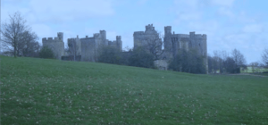 from http://www.southampton.ac.uk/~cc1406/3bodiam2010comp.pdf