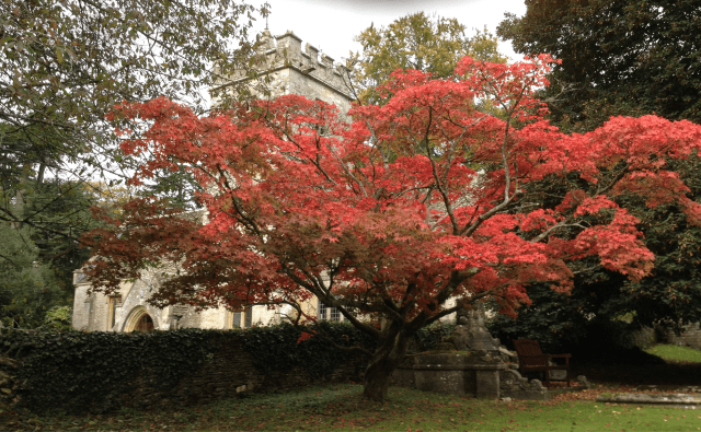 David Marsh, Oct 2016