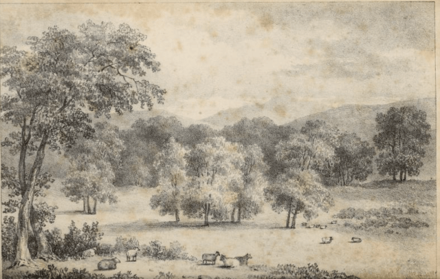 from Practical hints upon landscape gardening