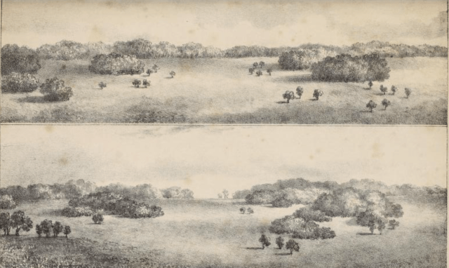 from Practical hints upon landscape gardening