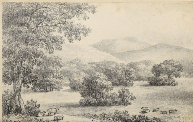 from Practical hints upon landscape gardening