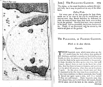 from James Meader's The Modern Gsrdener, 1771???
