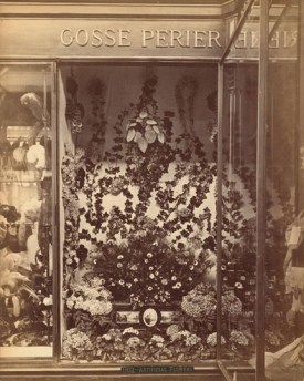 Shop window display of Artificial Flowers from the 1876 Centenniel Exhibition in Philadelphia Image from Philadelphia Free Library https://libwww.freelibrary.org/CenCol/Details.cfm?ItemNo=c021932