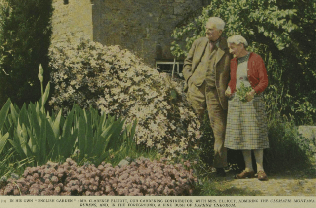 Gardening and Literature: Mr. Clarence Elliott and Sir John Squire at Home. Illustrated London News (London, England),Saturday, January 11, 1958