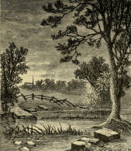 from an 1879 editon of Maud drawing by H.A Herr