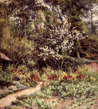 In the Kitchen Garden at Farringford, by Helen Allingham from xxxx