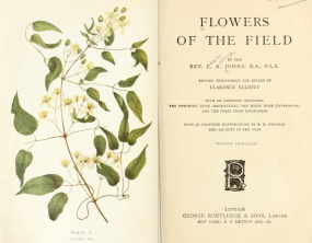 https://archive.org/details/flowersoffieldre00johnuoft