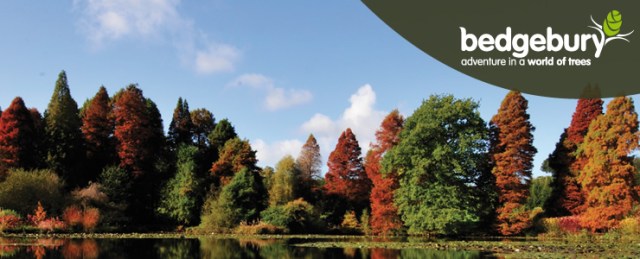 http://www.forestry.gov.uk/bedgebury