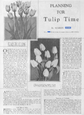 Britannia & Eve 9 Nov 1928