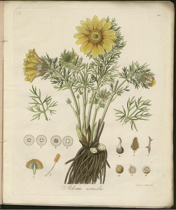 Dr Darwin's rather naughty Botanic Garden | The Garden History Blog